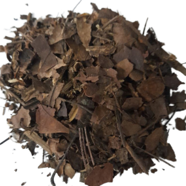 Alnus Compost 1 Liter by Plant Culture PH