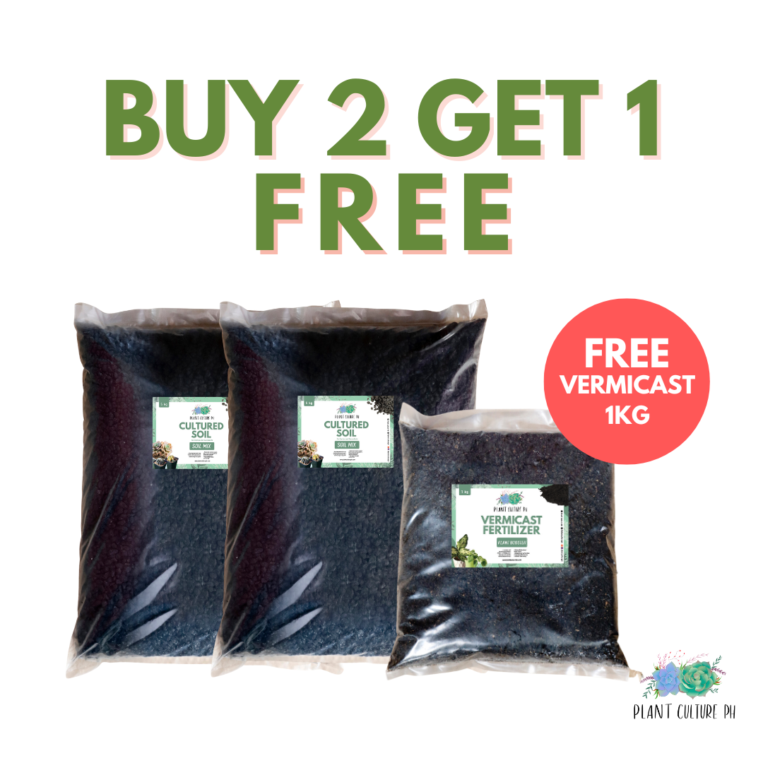 Buy 2 Cultured 5kg Get 1 Free Vermicast 1kg