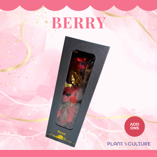 Berry Red Teddy Bear with Infinity Rose
