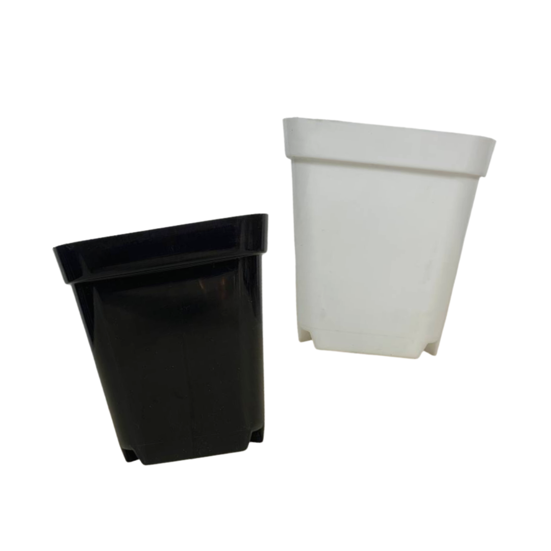 Plant Culture Plastic Square Plant Pot Black / White