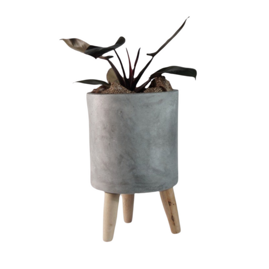 Classy Elevated Planter for House Plants | Cement Pots