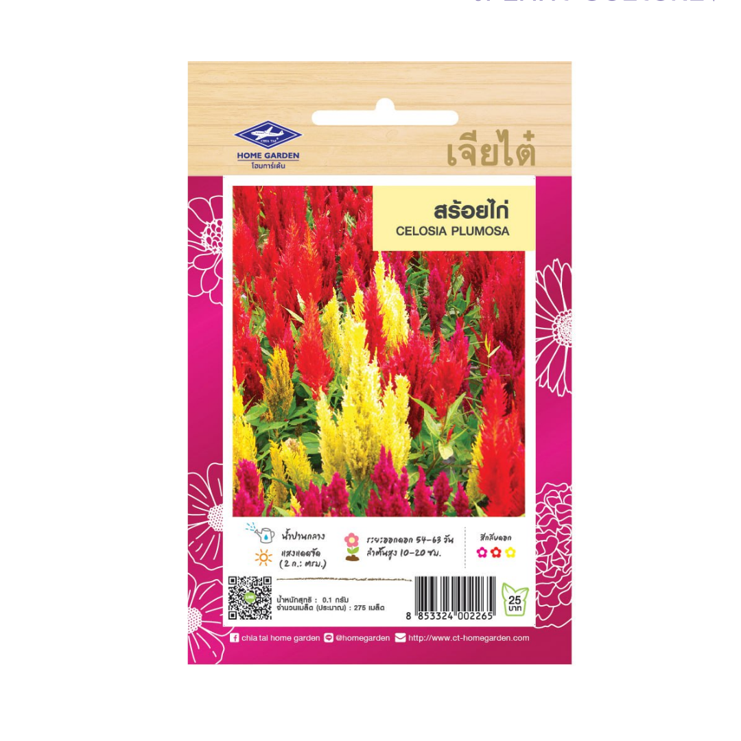 Home Garden Seeds Celosia Plumosa (Approx 120 Seeds) 0.1g