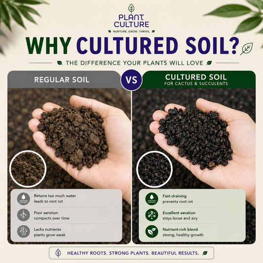 Plant Culture Cultured Soil CnS Mix 1kg | 3kg | 5kg Premium Cactus & Succulent Blend