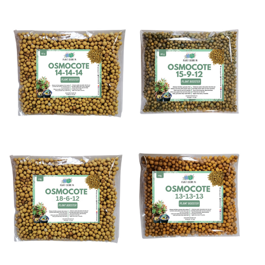 Osmocote Controlled Release Fertilizer 40g