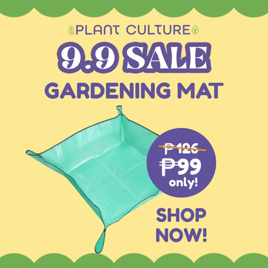 Portable Waterproof Gardening Mat by Plant Culture PH