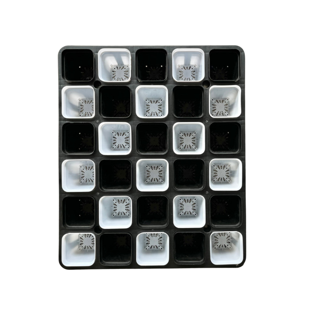 Plastic Pot Holder for Cactus, Succulents, Seedlings, etc.