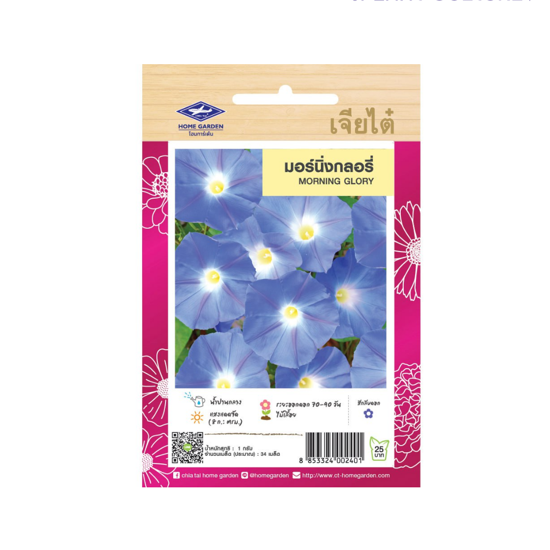 Home Garden Seeds Morning Glory (Approx 34 Seeds) 1g