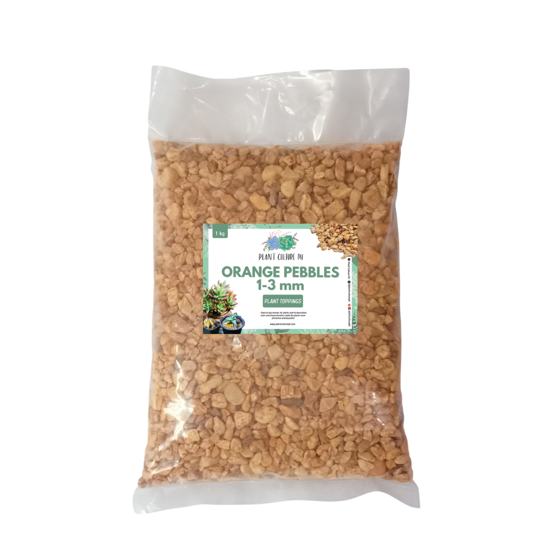 Orange Marble Chips 1Kg By Plant Culture PH
