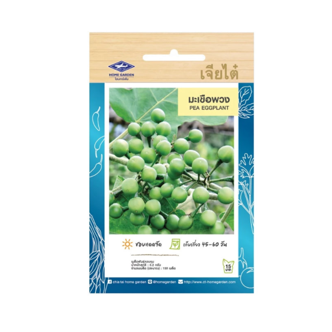 Home Garden Seeds Pea Eggplant (Approx150 Seeds) 0.2g