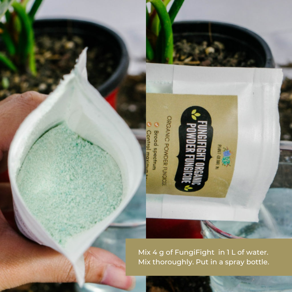 FungiFight Organic Powder Fungicide by Plant Culture PH