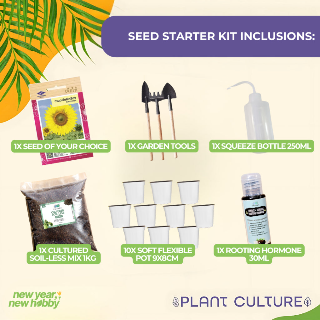 Plant Culture PH Herb Seed Starter Kit