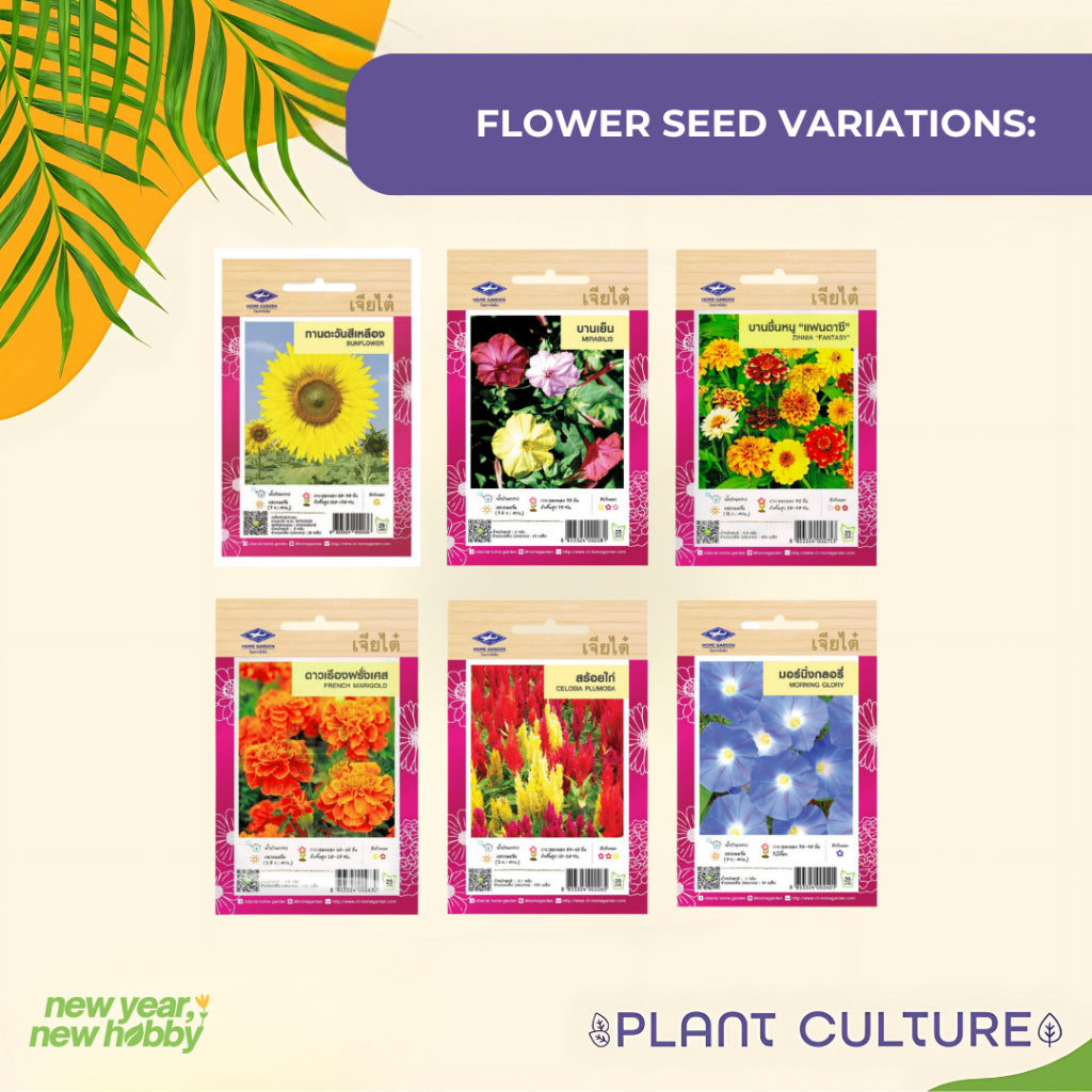 Plant Culture PH Flower Seed Starter Kit