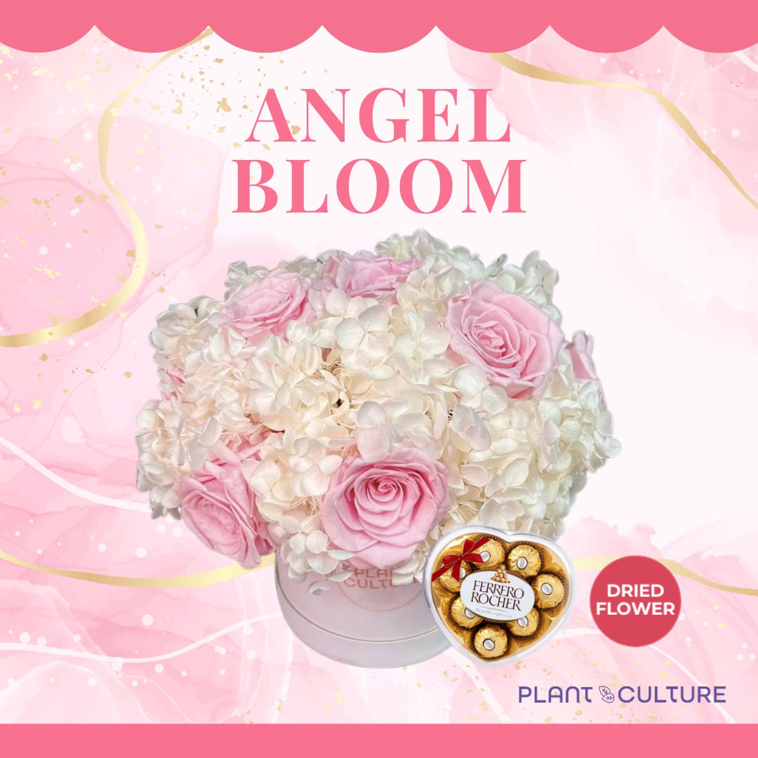 Angel Bloom Dried Flower Arrangement