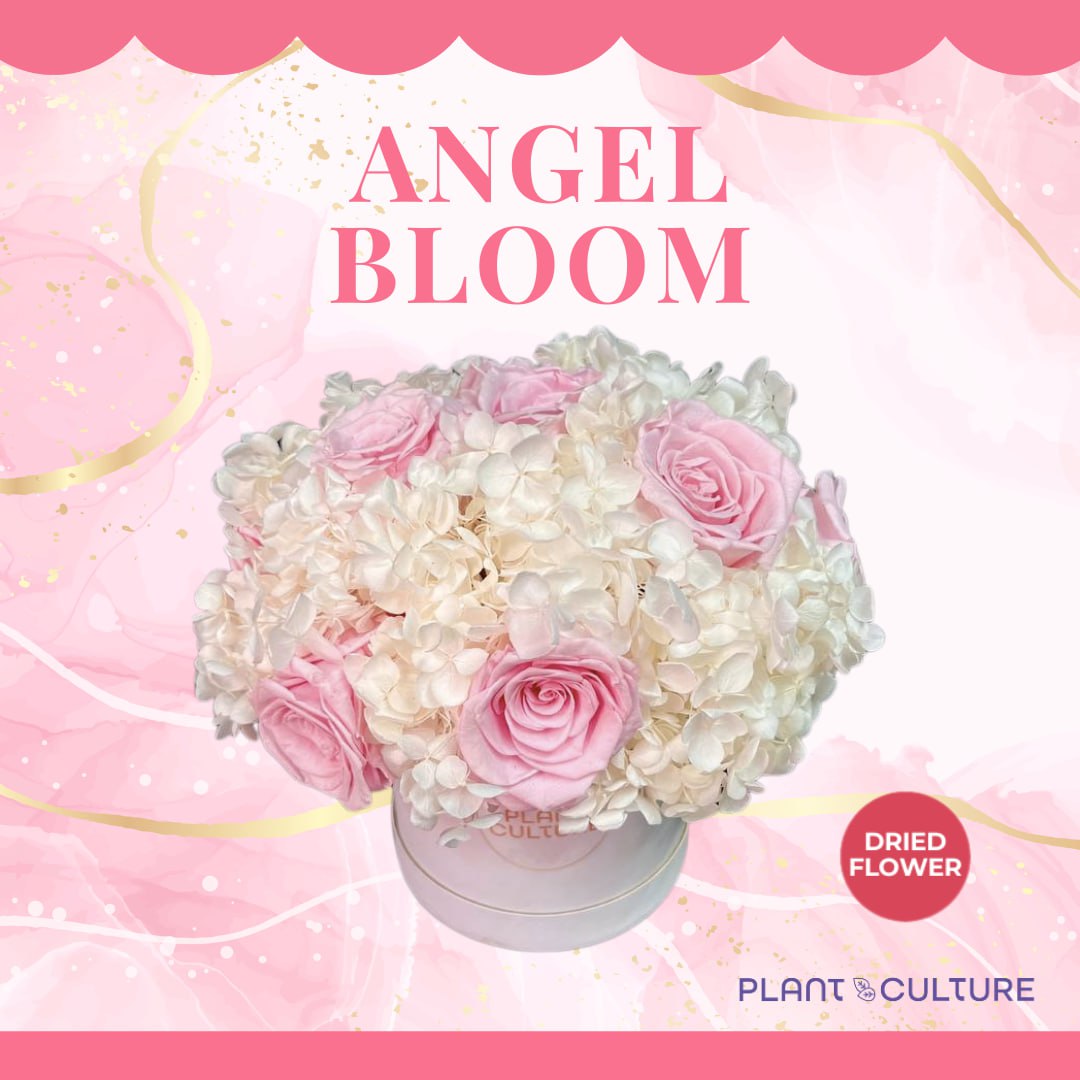 Angel Bloom Dried Flower Arrangement