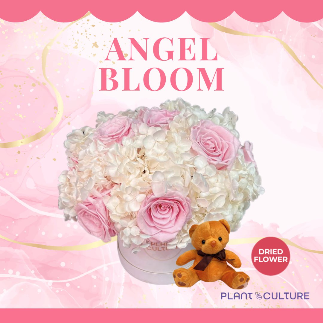 Angel Bloom Dried Flower Arrangement