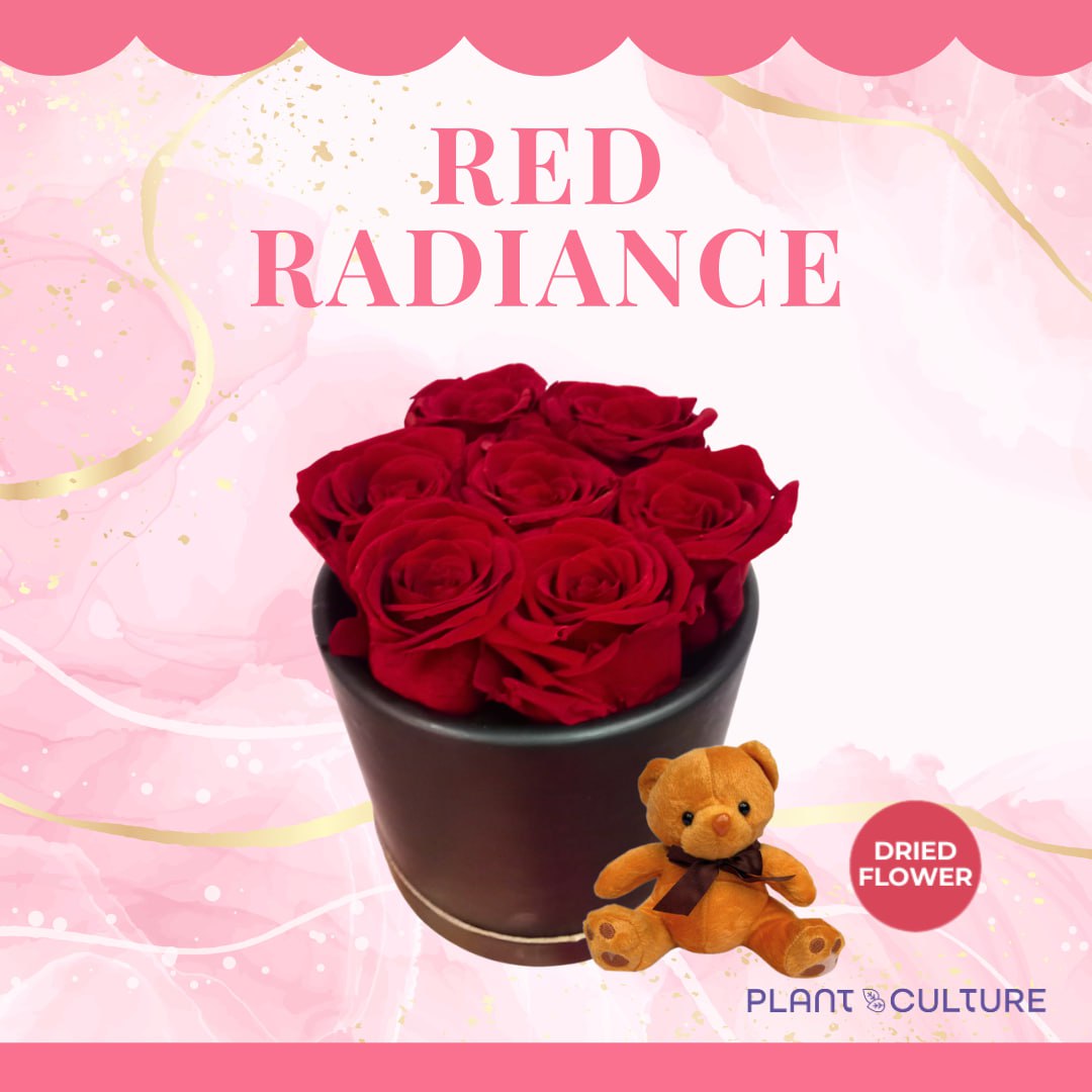 Red Radiance Preserved Dried Flower Arrangement