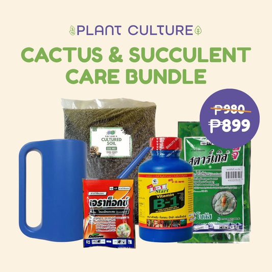 Cactus and Succulent Care Bundle II CnS Mix, Starke G, B-start, Eratox, Watering Can 1.2L