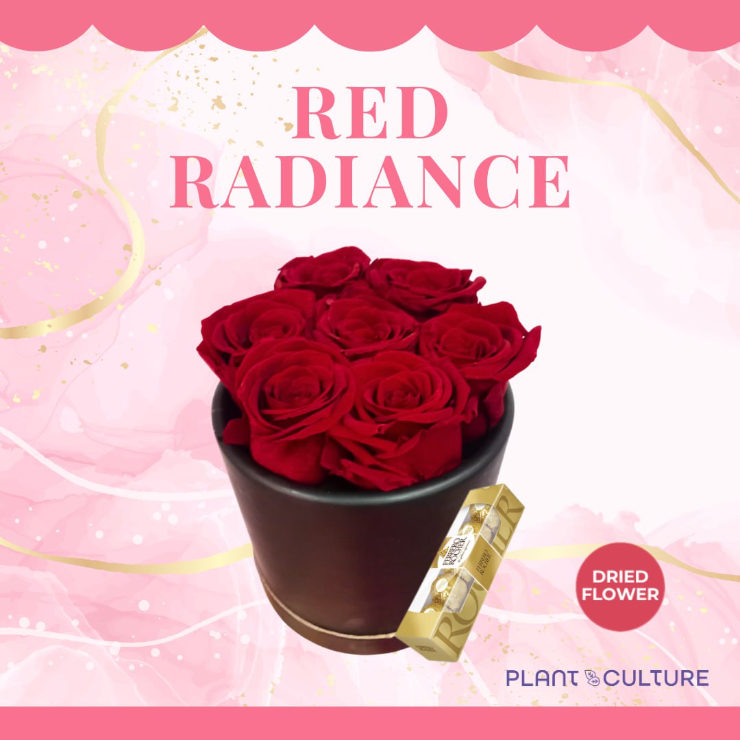 Red Radiance Preserved Dried Flower Arrangement