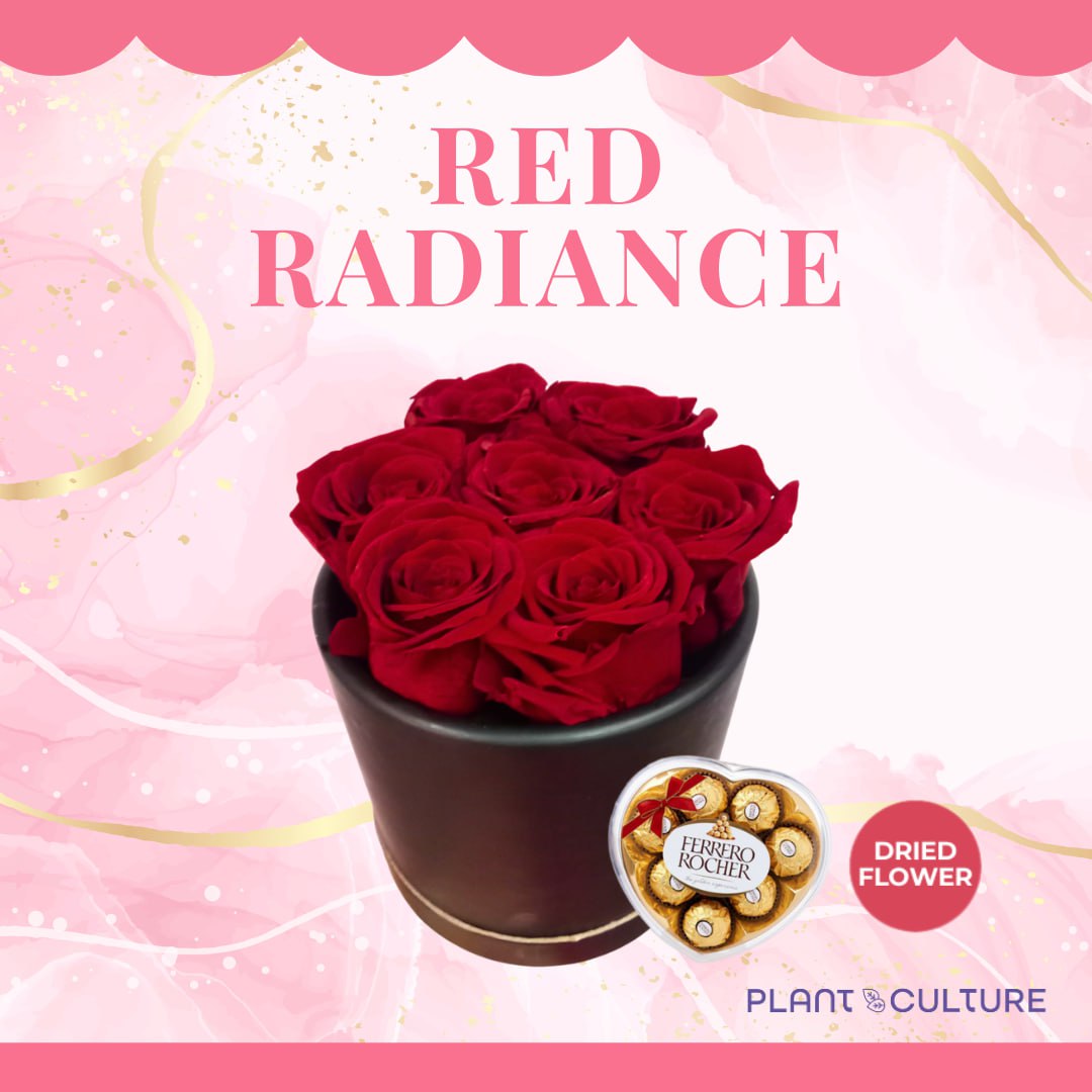 Red Radiance Preserved Dried Flower Arrangement