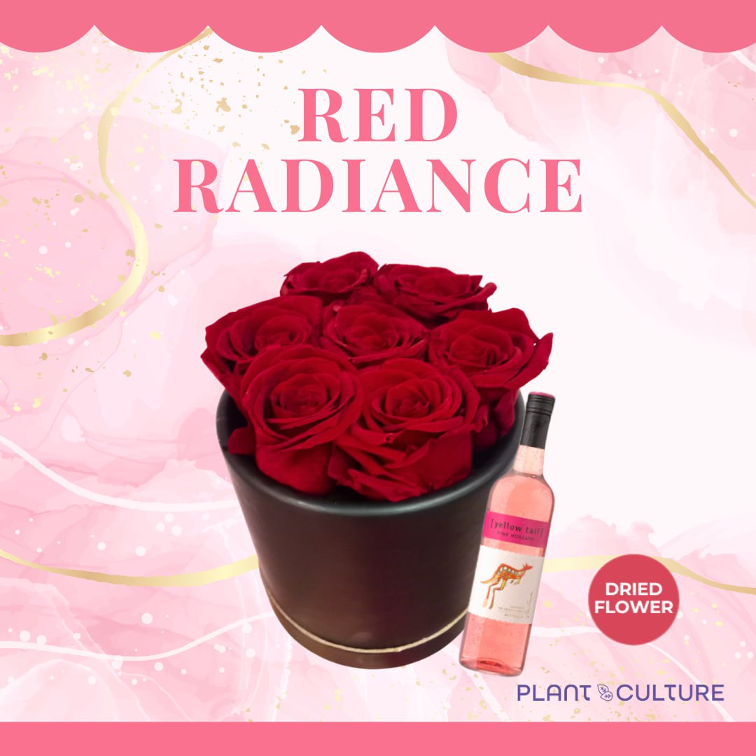 Red Radiance Preserved Dried Flower Arrangement