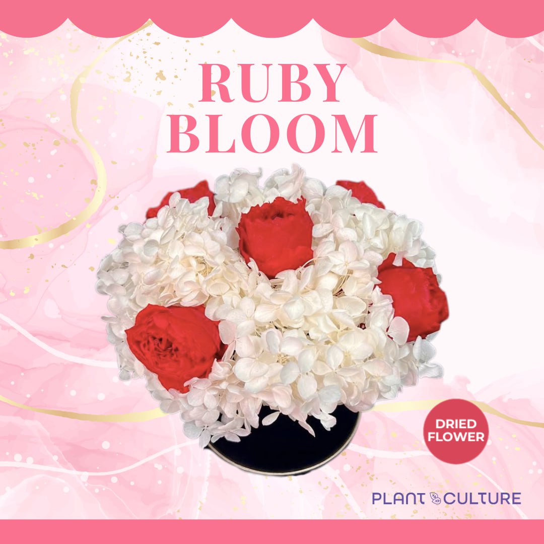 Ruby Blossom Dried Flower Arrangement