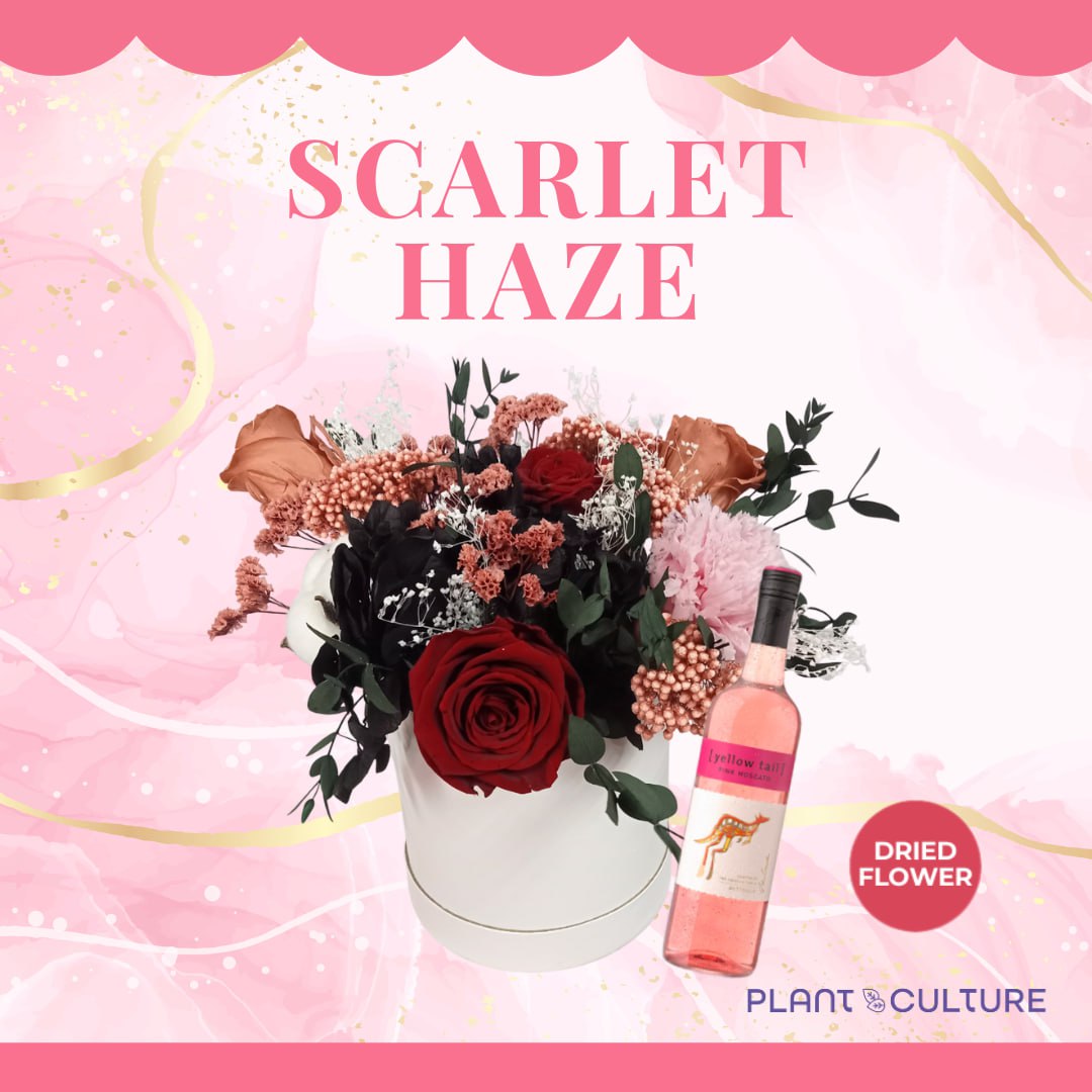 Scarlet Haze Dried Flower Arrangement