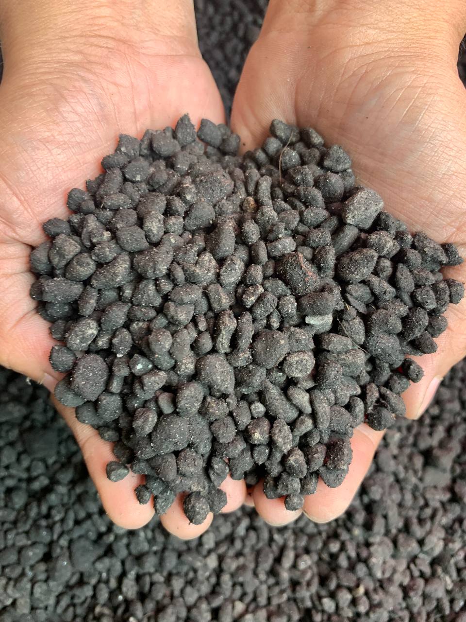 Cultured Soil For Cactus And Succulents 5Kg X 4 Bundle