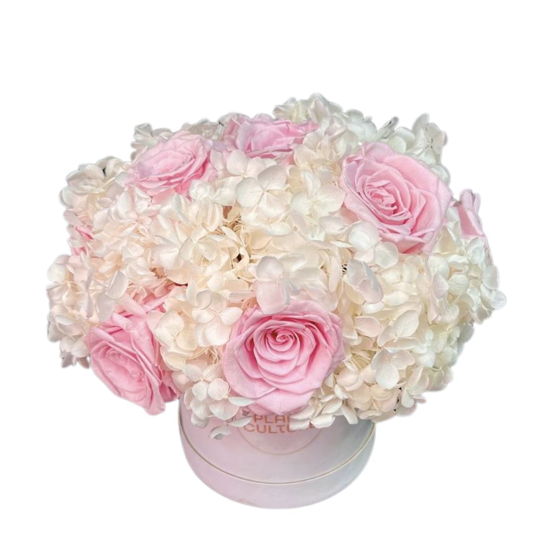 Angel Bloom Preserved Dried Flower Arrangement