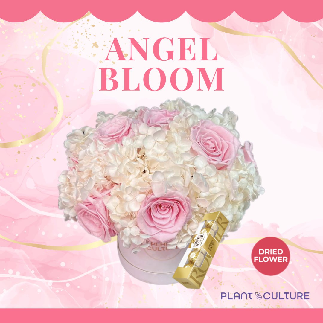 Angel Bloom Dried Flower Arrangement