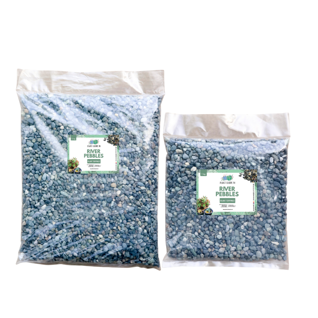 River Pebbles  by Plant Culture PH