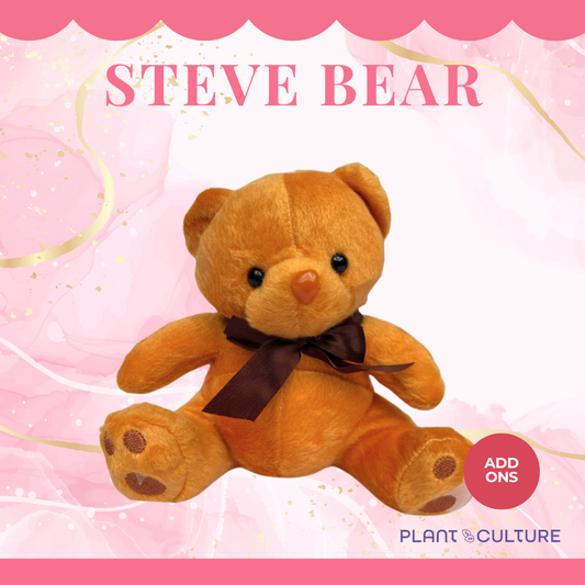 Steve Bear Teddy Bear