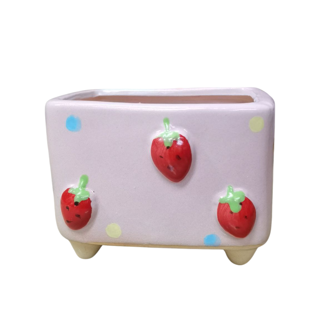 Plant Culture Cute Rectangle Planters