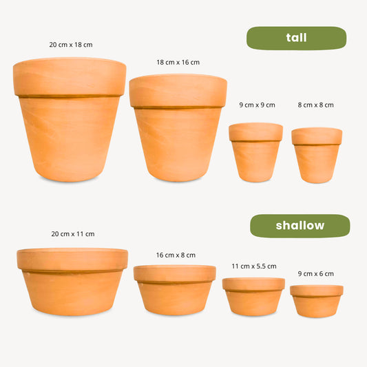 Smooth Japanese Terracotta Planters (Small- Medium)