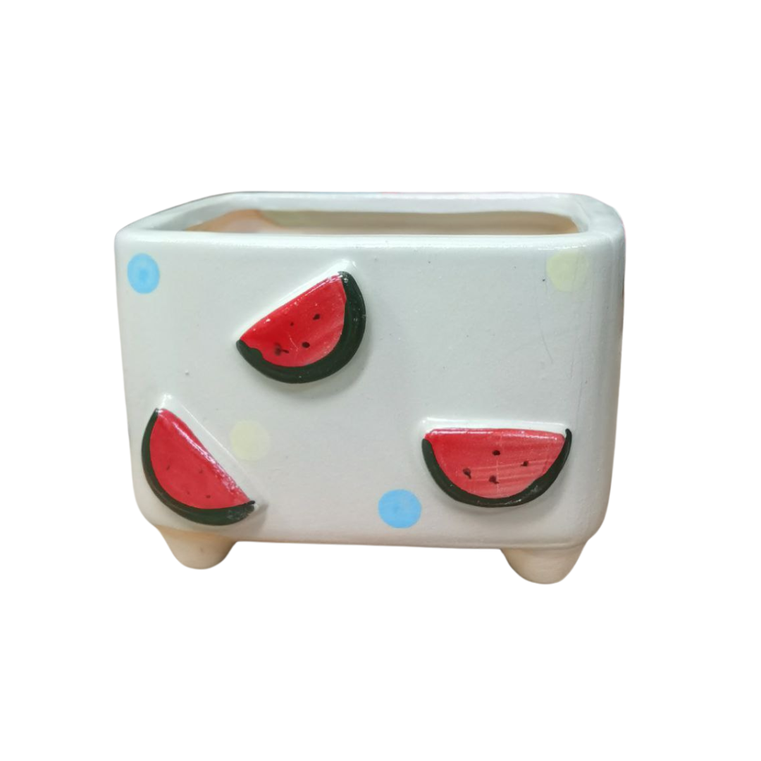 Plant Culture Cute Rectangle Planters