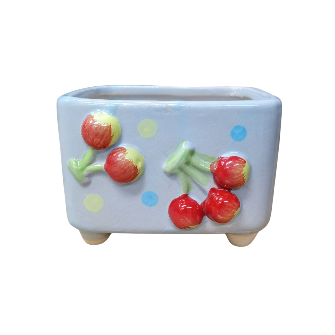 Plant Culture Cute Rectangle Planters