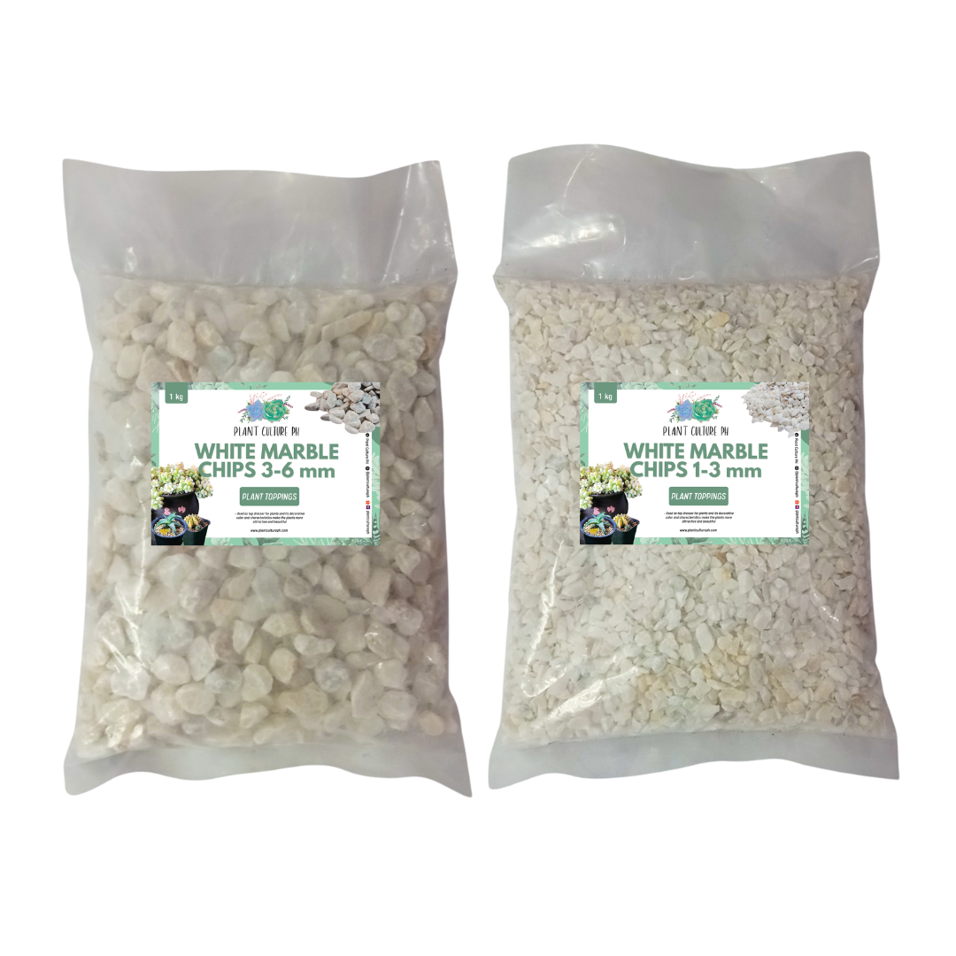 White Marble Chips By Plant Culture PH