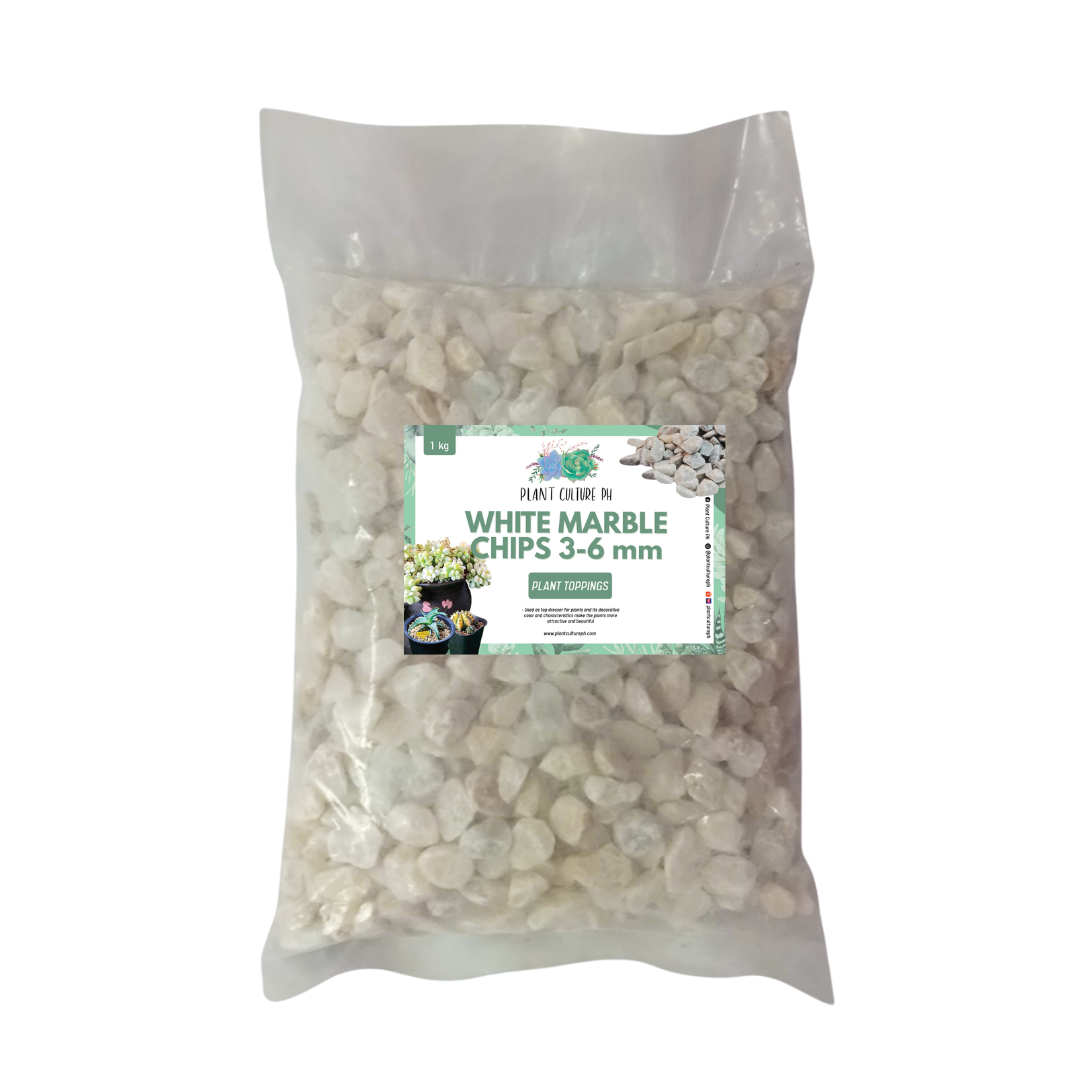 White Marble Chips By Plant Culture PH