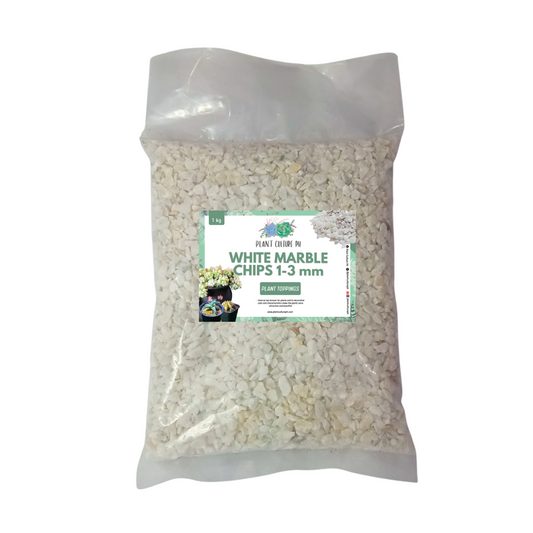 White Marble Chips By Plant Culture PH