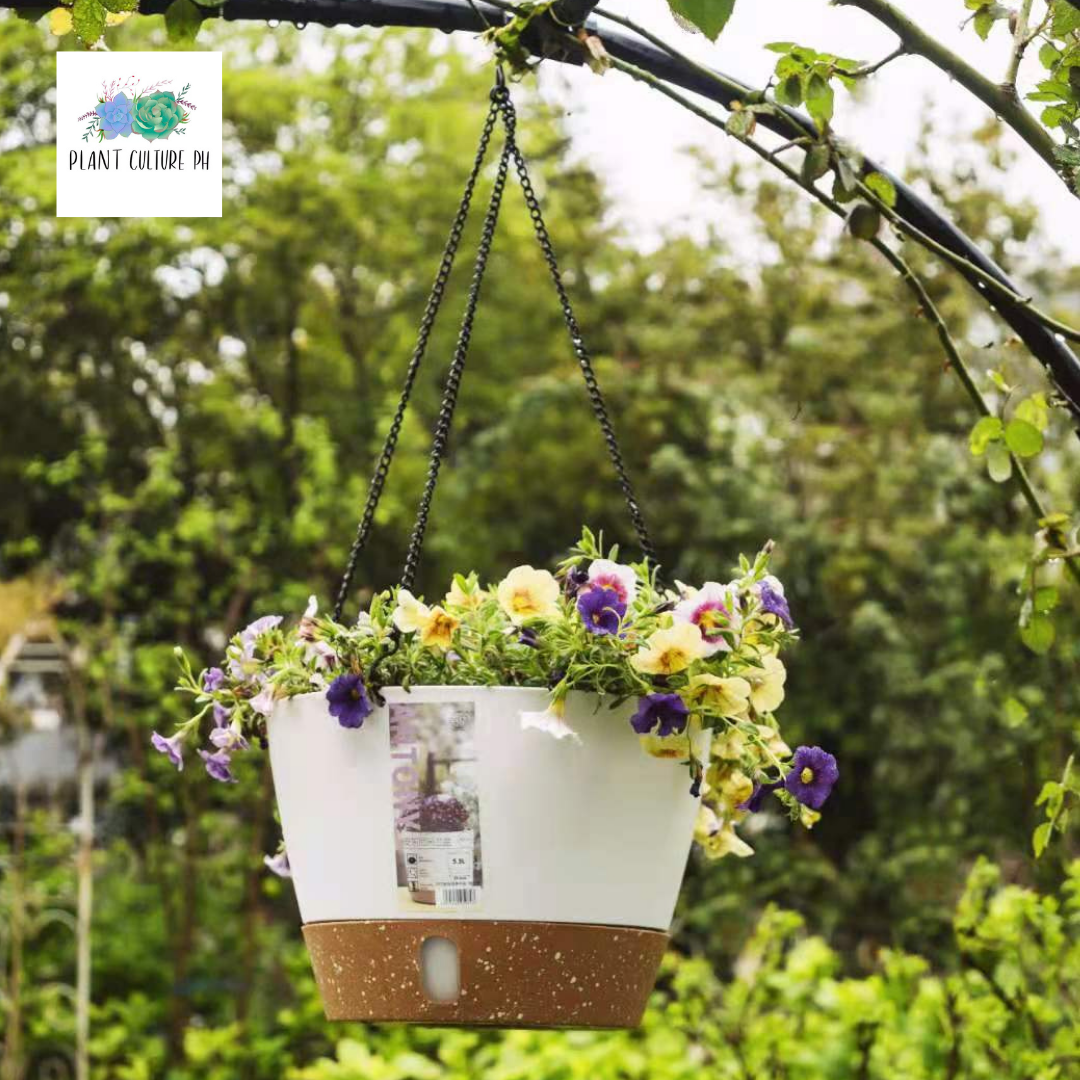 Nordic Pots by Plant Culture PH