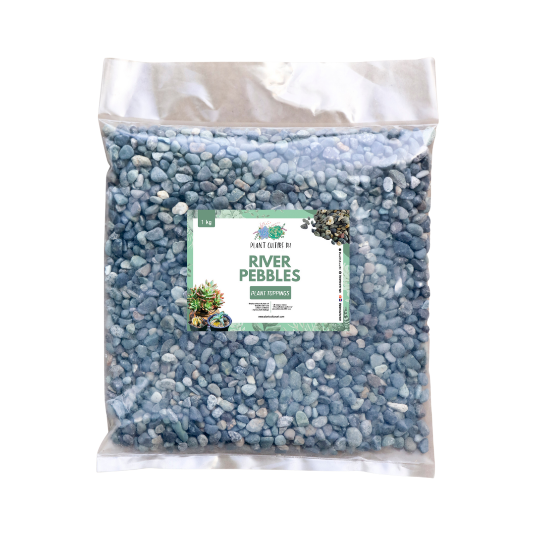 River Pebbles  by Plant Culture PH