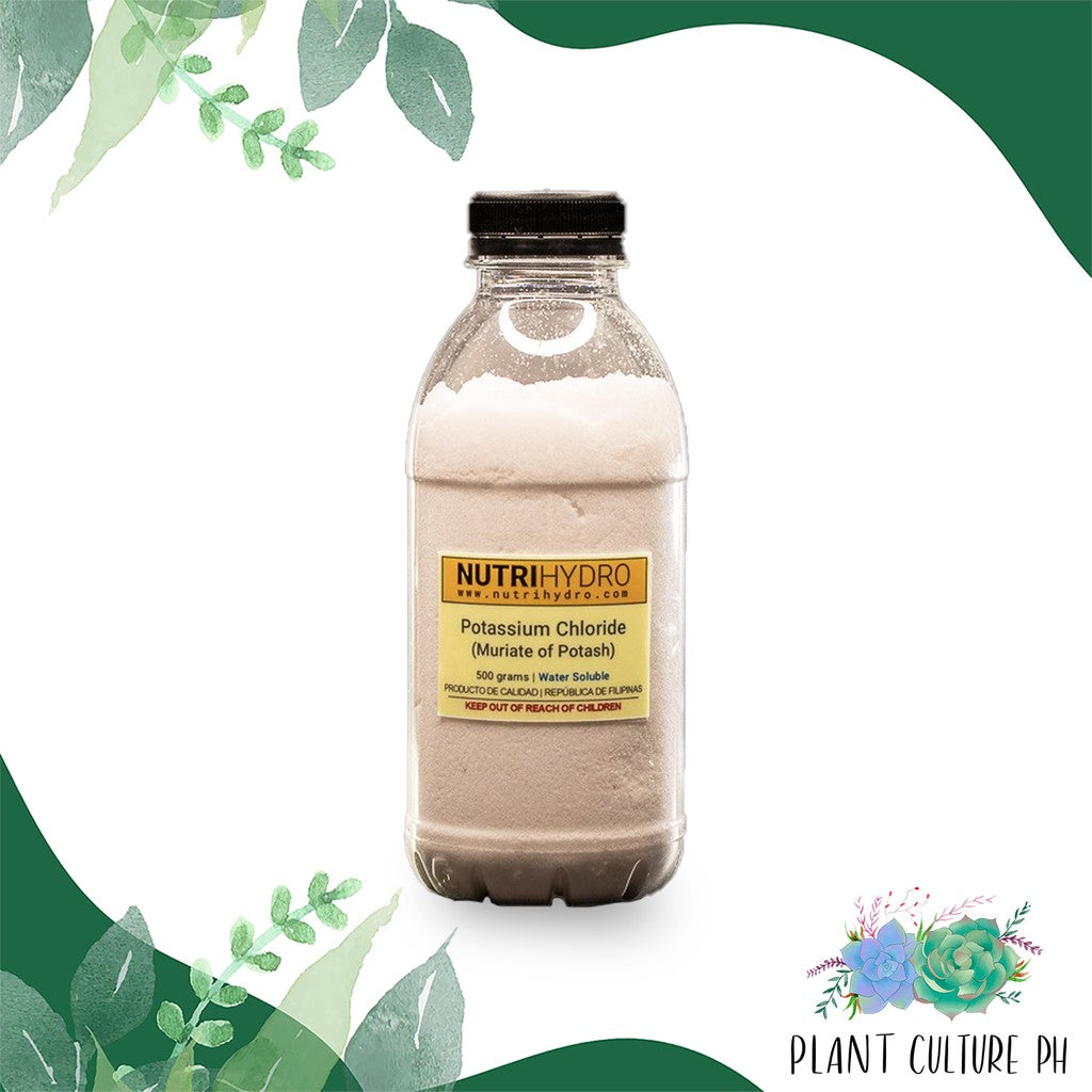 NutriHydro Potassium Chloride (Muriate of Potash) Water Soluble Nutrient for Hydroponics