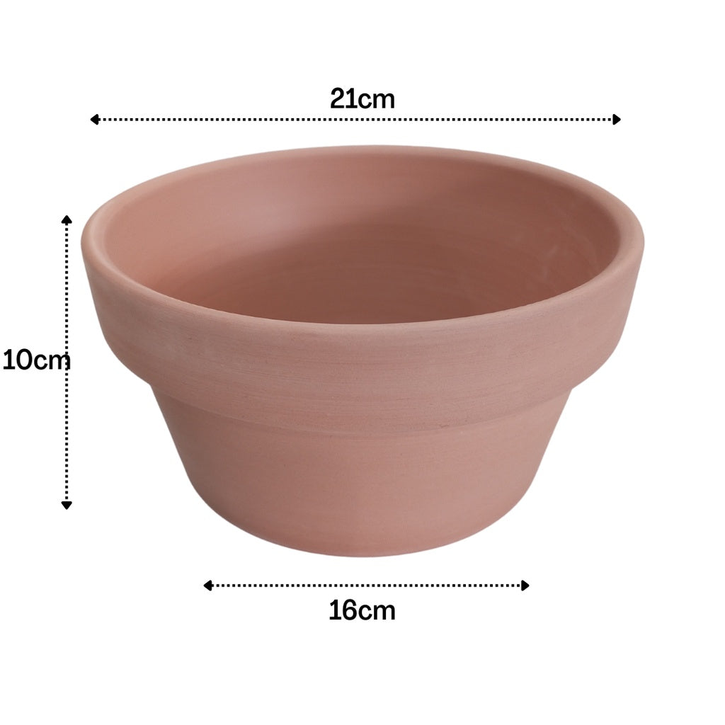 Japanese Terracotta Planters With Catch Plate | Clay Pots with Plant Saucer