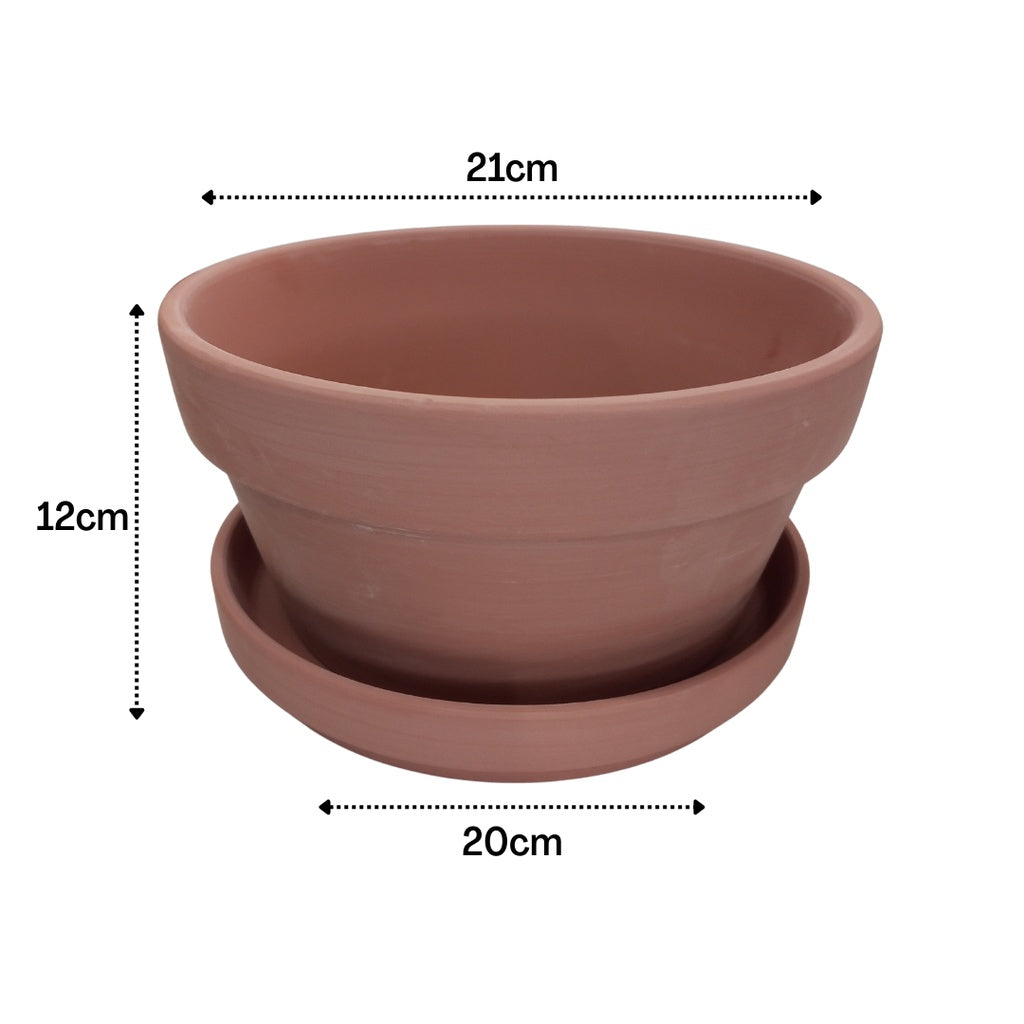 Japanese Terracotta Planters With Catch Plate | Clay Pots with Plant Saucer