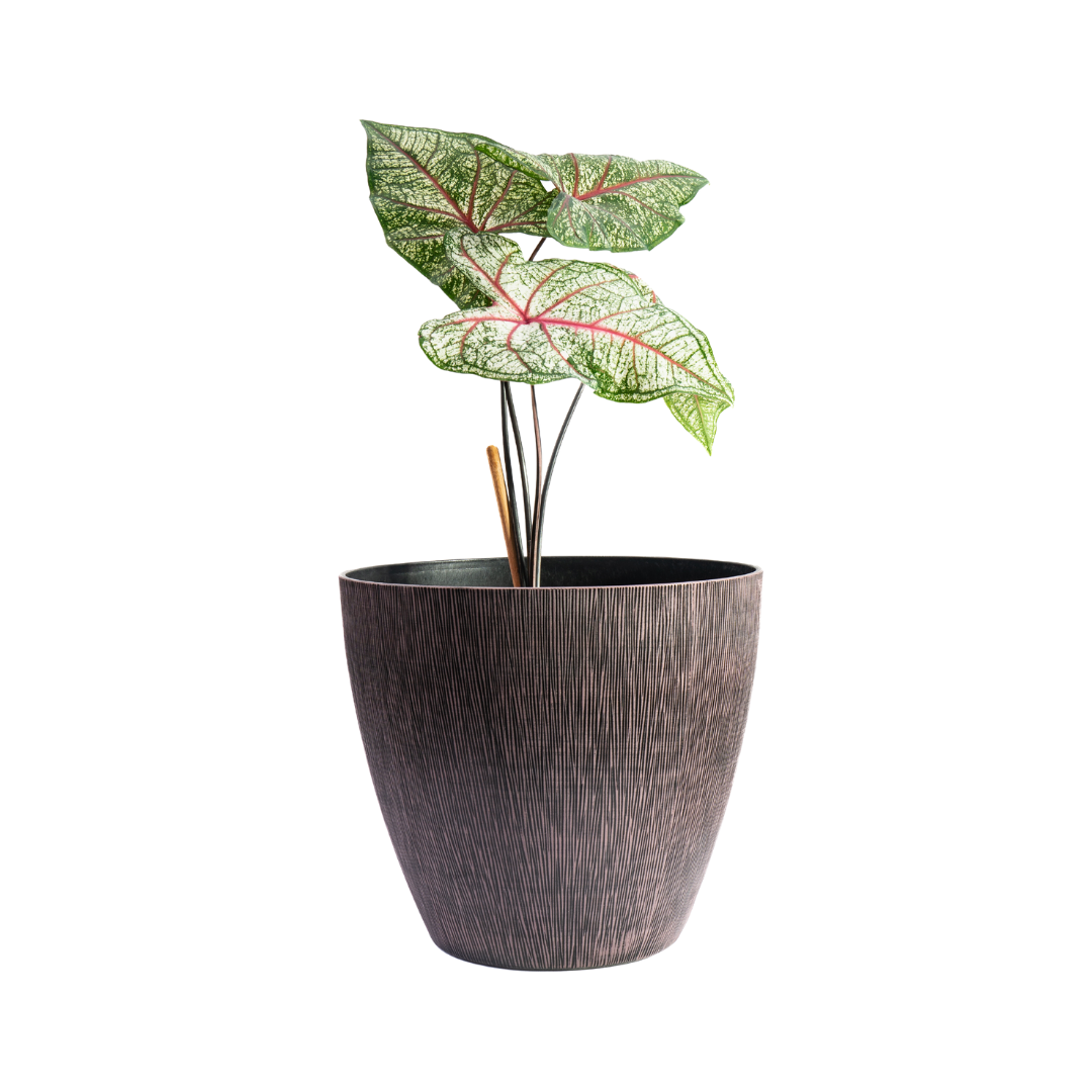 Vintage Rustic Planter for Outdoor Plants | Plastic Pots