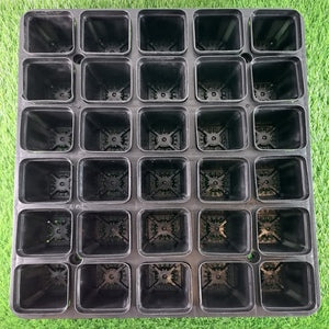 Plastic Pot Holder for Cactus, Succulents, Seedlings, etc.