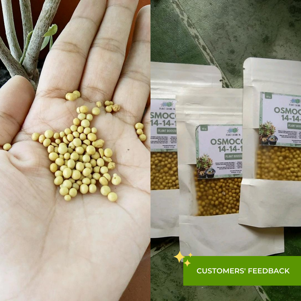Osmocote Controlled Release Fertilizer 40g