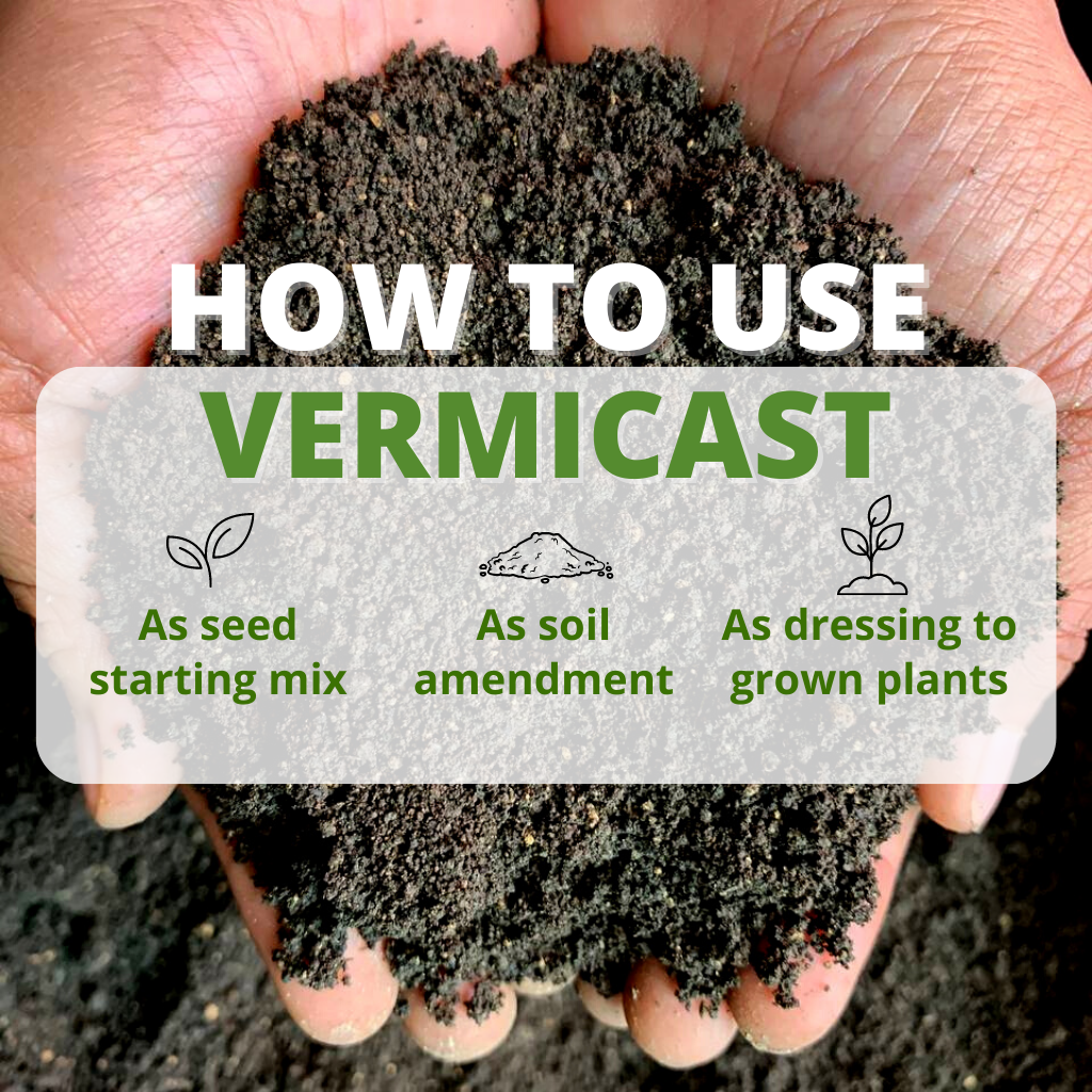 Vermicast Worm Casting Fertilizer 5Kg