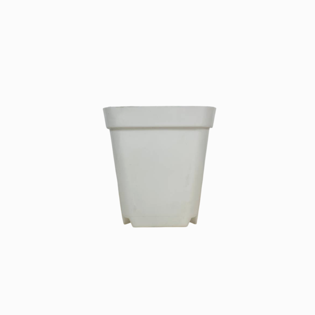 Plant Culture Plastic Square Plant Pot Black / White