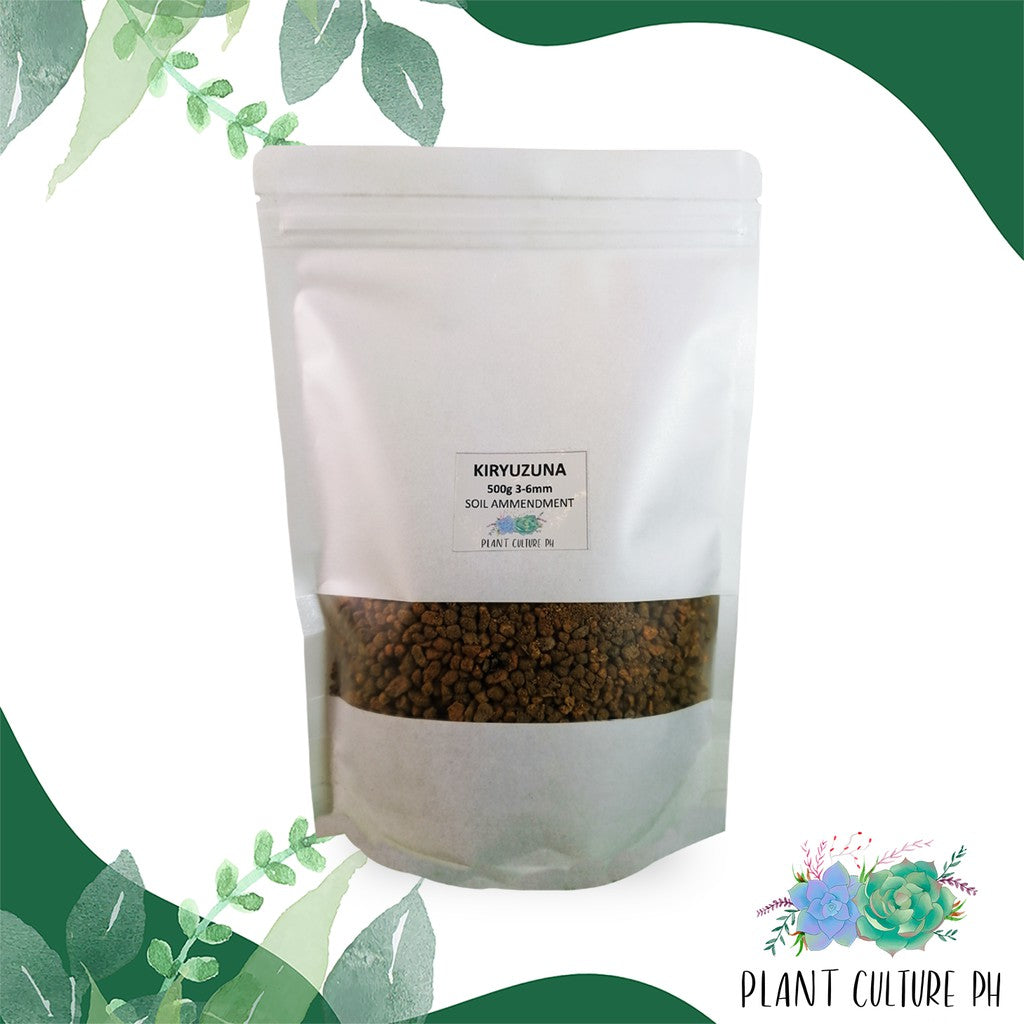 Kiryuzuna 3-6mm by Plant Culture PH