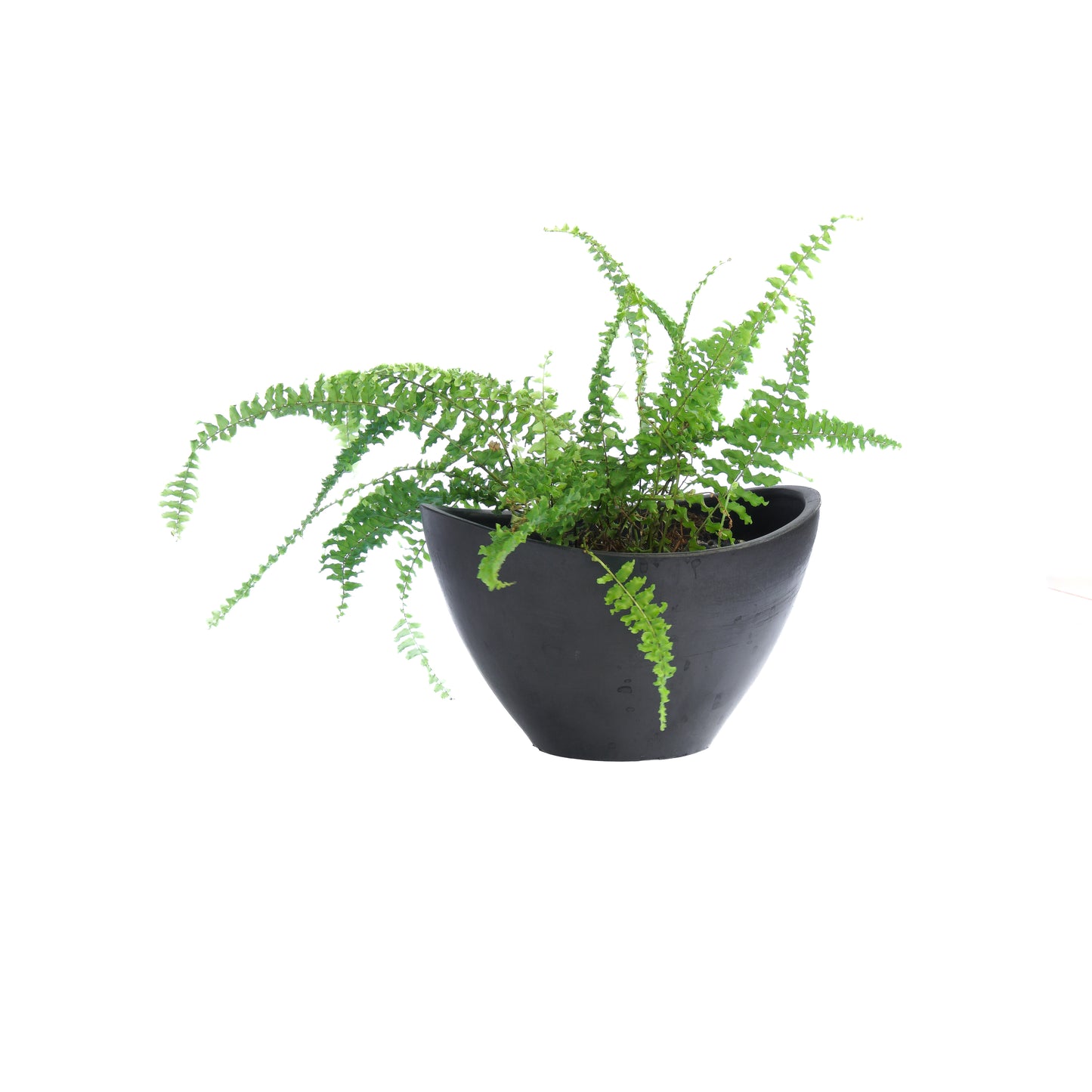 Greenship Handmade Planters | Lightweight Pots